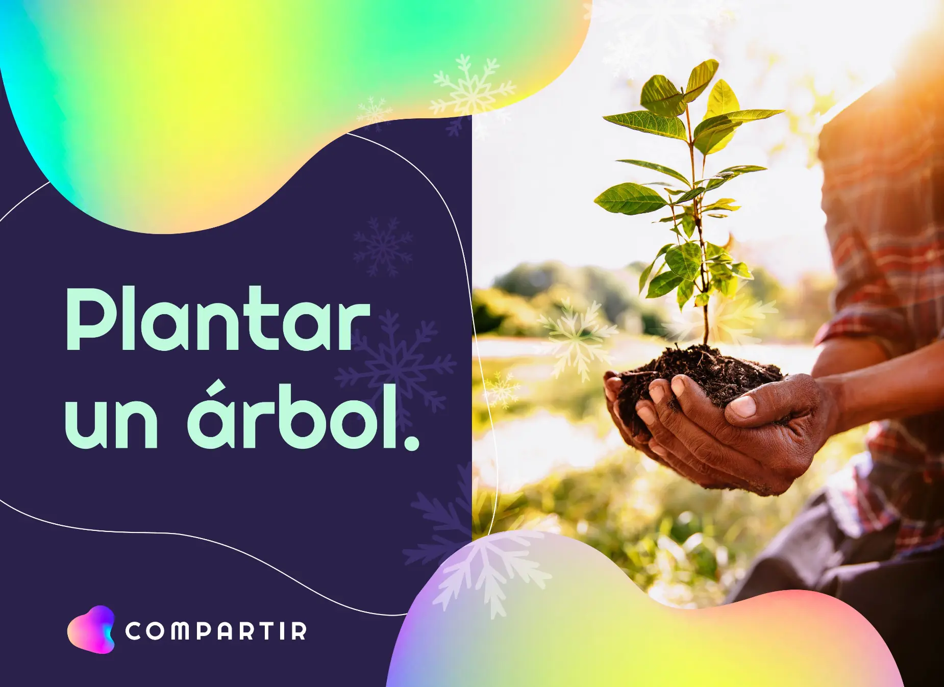 Banner Plantar un árbol